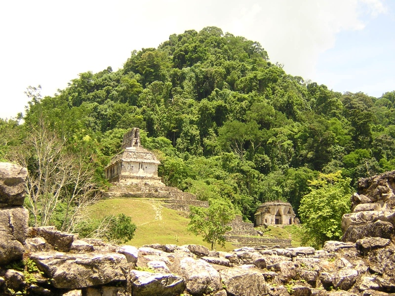 Palenque_ruins_jungle.jpg