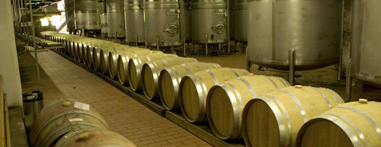 Groot Constantia Winery