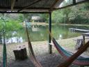 Hammocks overlooking the pond. The bar is near the thatched roof structure in the background.