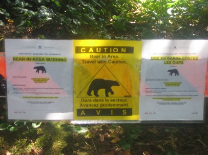 bear sign