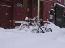 NY Blizzard Bikes