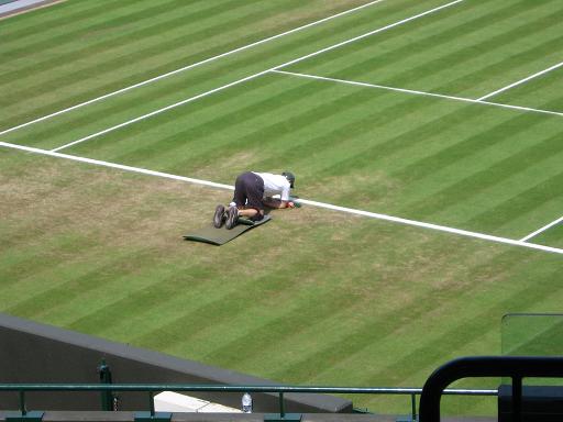 Dreas Wimbledon 011.jpg