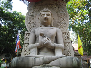 buddha-jpg.jpg