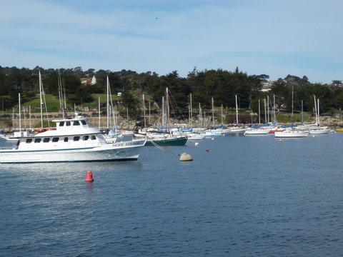 Monterey Marina in California