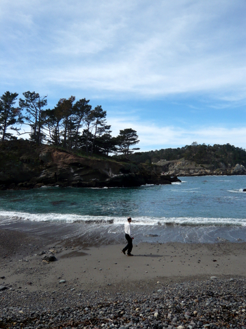 black sand beach in Point Lobos State Reserve