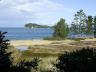 Appletree Beach, Abel Tasman NP