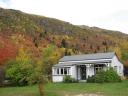 Arrowtown trees and house