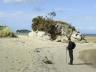 Porters Beach, Abel Tasman NP