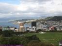 Wellington & Harbour