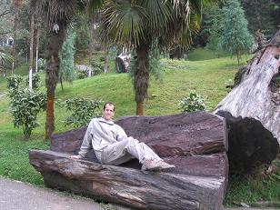 Botanical Garden - Darjeeling