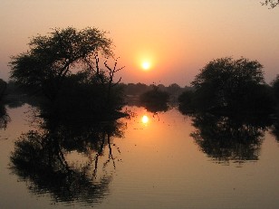 Sunset, Bird Sanctuary, Bharatpur
