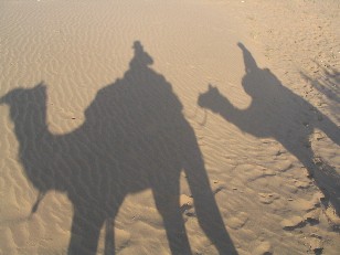 Shadows,Camel Trekking, Jaisalmer