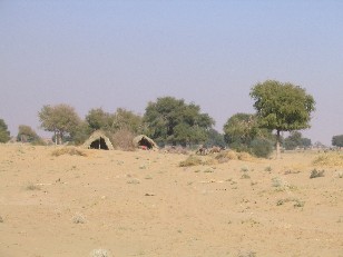 Desert Camp, Thar Desert