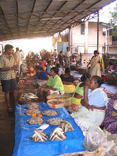 Panaji's fish market