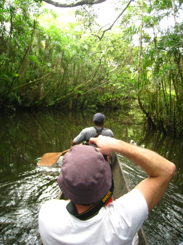 A paddle down the Amazon
