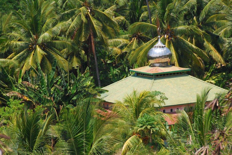 tropical mosque