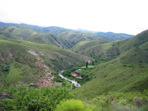 Las Juntas landscape green.JPG