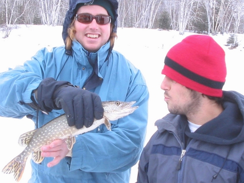 2 Saskatchewan Ice Fishin fish_paddo.JPG