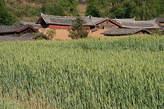 Wenhai Village
