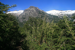 View from the Trail