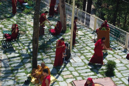 Afternoon philosophical debates, outside the Dalai Lamas residence, McLeod Ganj