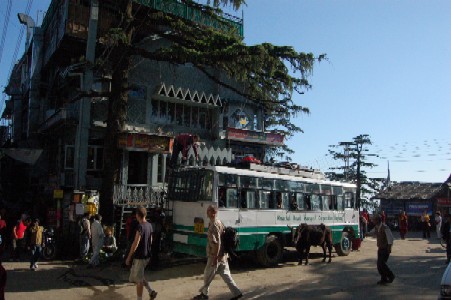 The centre of McLeod, a 