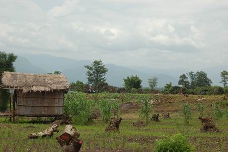 The scenery around Pai