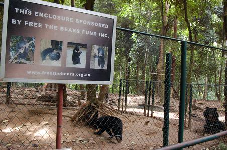 The most bizarre sign: a cage sponsored by the an animal freedom charity... sad