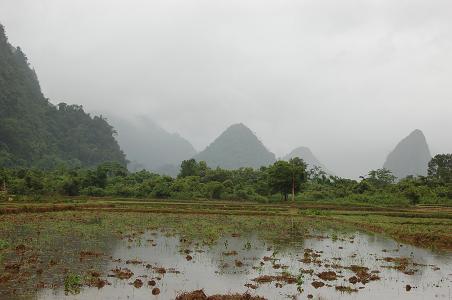 PAddy fields and limestone mountains around town