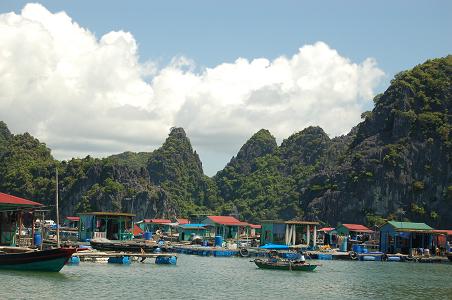 Floating village and Cat  Ba Island