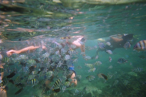 I'm in there somewhere with all the fishes... that's what happens when you take some bread in the water with you