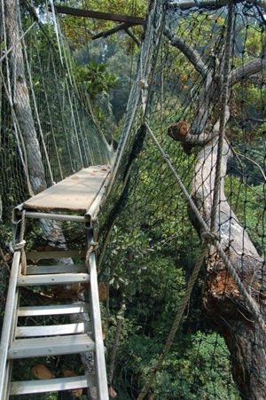 Yes, it is really just made of ladders, planks of wood and rope...