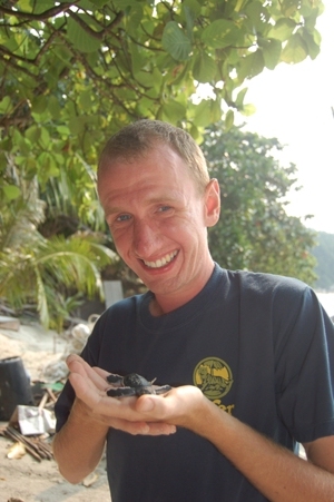 with a freshly hatched leatherback turtle