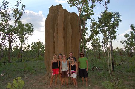 The cathedral termite mound