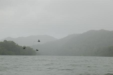 Daintree River