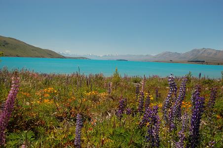 Lake Tekapo