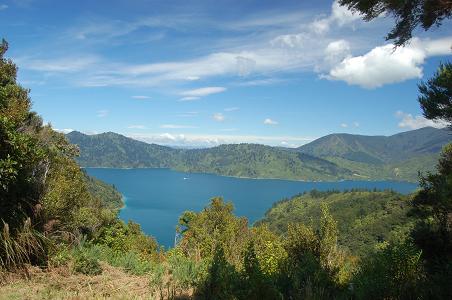 The Marlborough Sounds