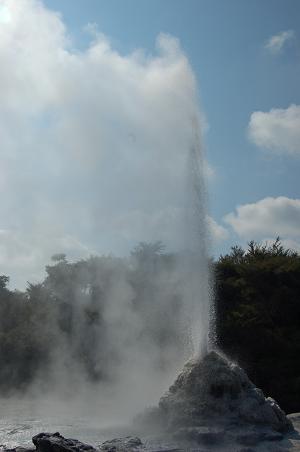 Lady Knox Geyser