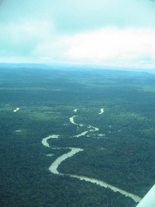 Jungle from the air