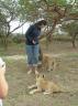Lion cubs @ Inkwenkwezi