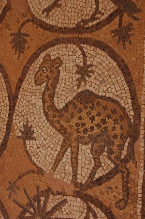 camel mosaic