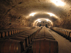 winery3.jpg