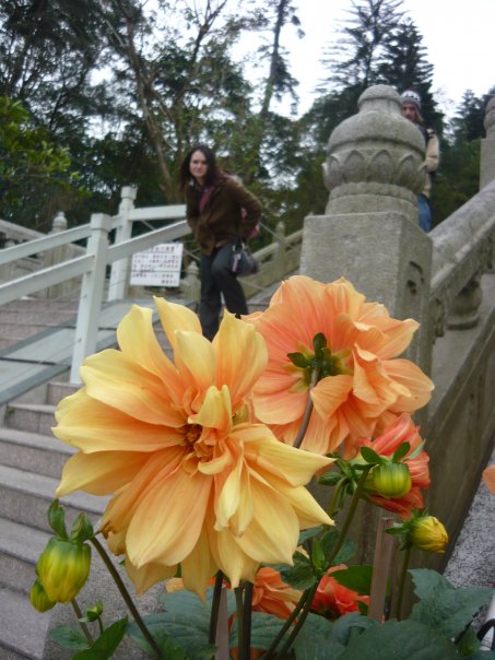 buddha-flower.jpg