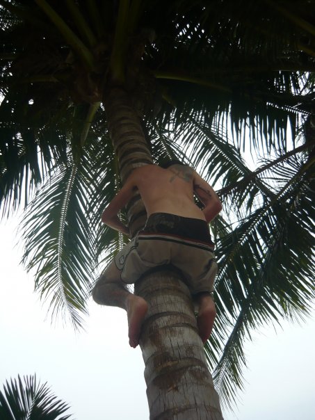 mike-in-tree.jpg