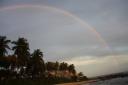 Sri Lankan Rainbow