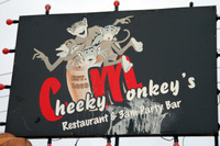 Cheeky Monkey's