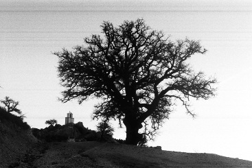 AAA015.JPG
