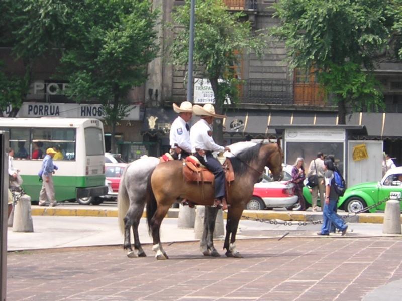 Mexican_police.jpg