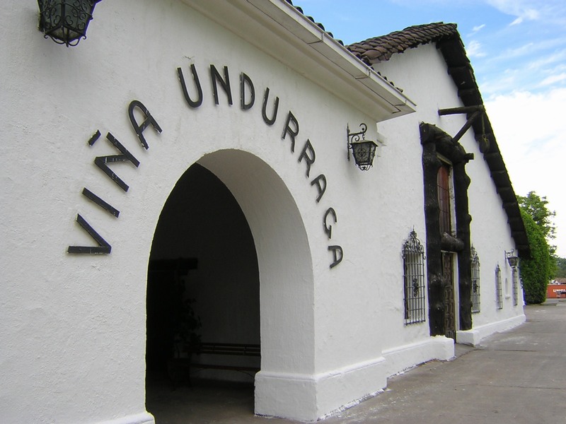 Undurraga_vineyard.JPG