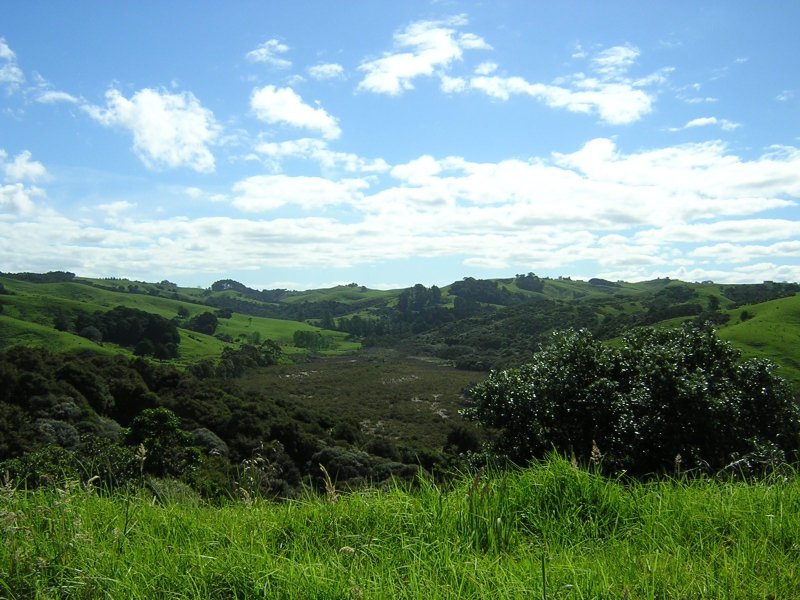 green_fields_nz.jpg